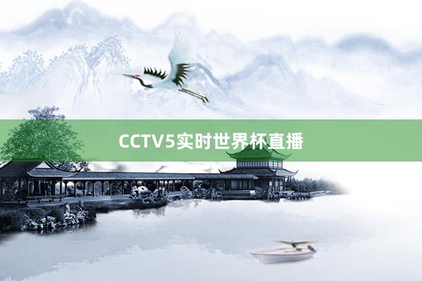 CCTV5实时世界杯直播