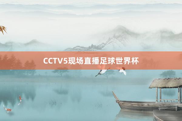 CCTV5现场直播足球世界杯