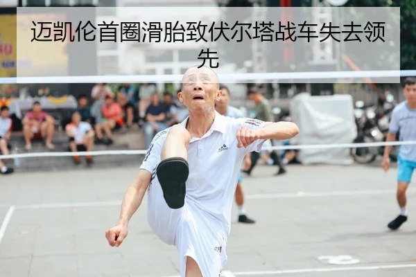 mai-kai-lun-shou-quan-hua-tai-zhi-fu-er-ta-zhan-che-shi-qu-ling-xian-2-402.jpg